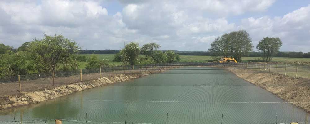 Coarse Fish UK - Large holding ponds producing healthy fish with excellent growth rates
